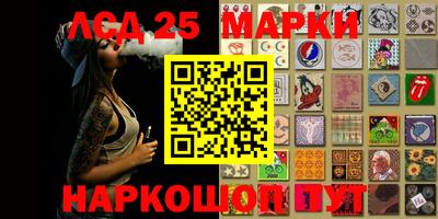 гидра Моздок