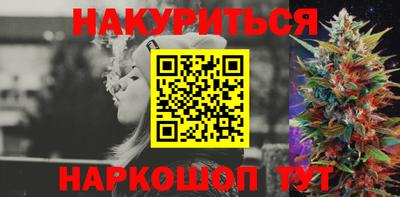 гидра Моздок